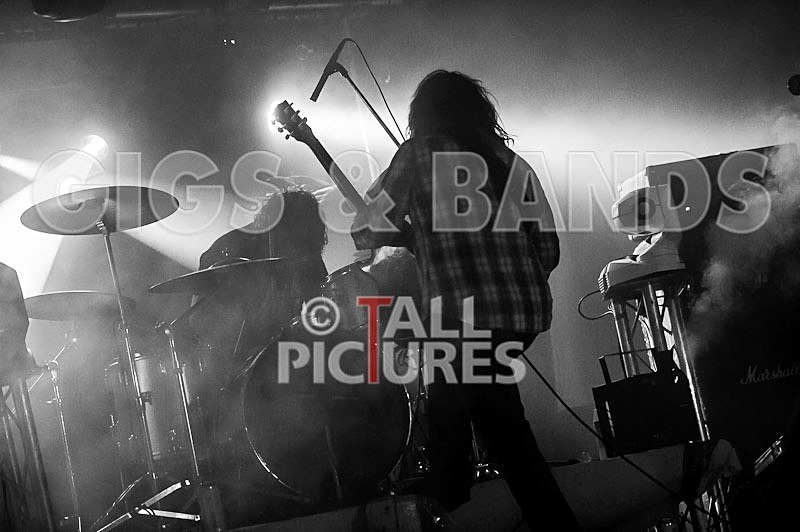 Viking Skull-44 - VIKING SKULL