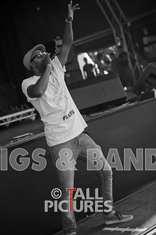 Professor Green-18 - PROFESSOR GREEN