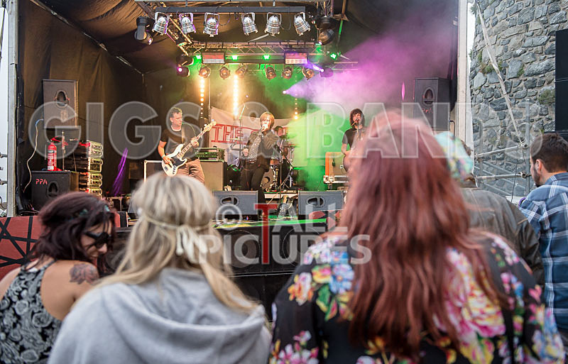 The Cryptics-110 - THE CRYPTICS