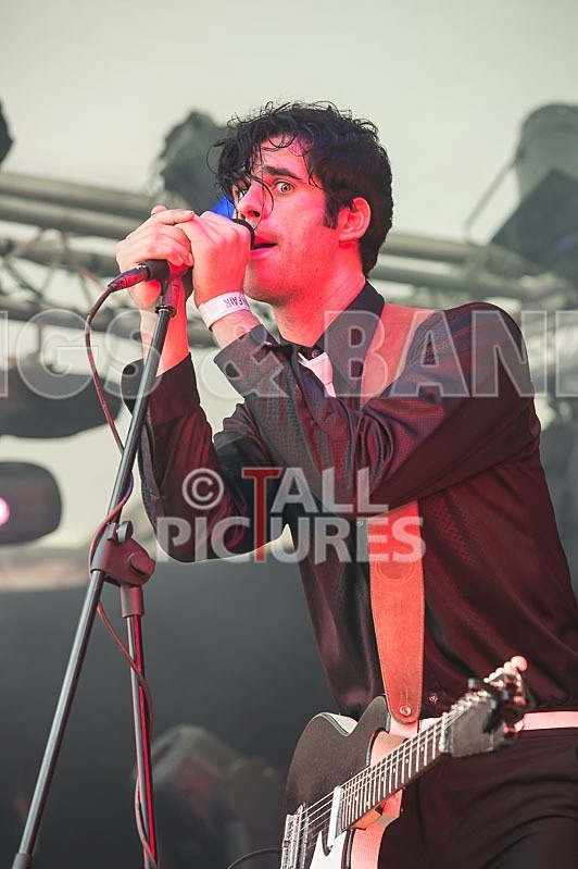 Surfin Birds-17 - THE SURFIN' BIRDS