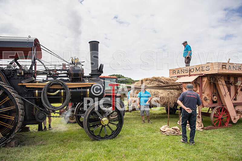 Guernsey Agricultural Show 2021-29 - GUERNSEY AGRICULTURAL SHOW 2021