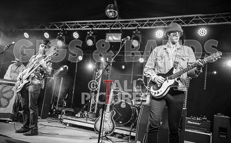 Surfin Birds-58 - SURFIN' BIRDS