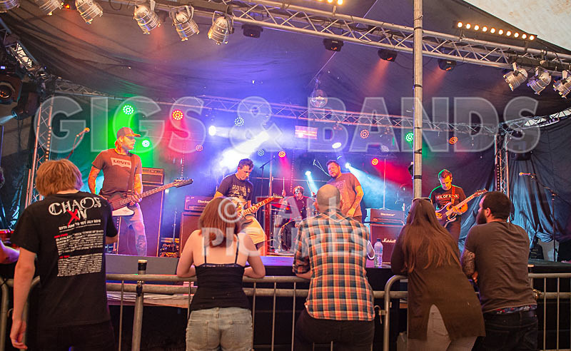 Granite Wolf-39 - GRANITE WOLF