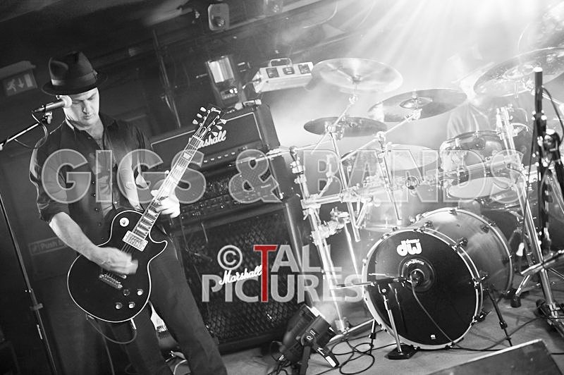 Peppered Ant Legs-106 - PEPPERED ANT LEGS