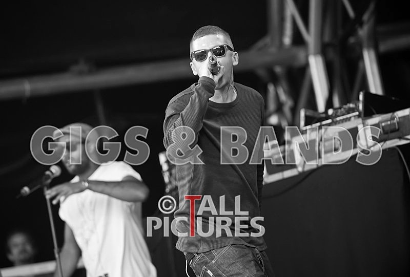 Professor Green-10 - PROFESSOR GREEN