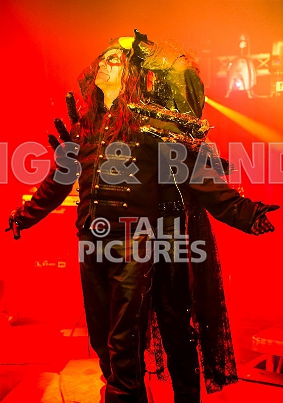 Gallus Cooper-13 - GALLUS COOPER