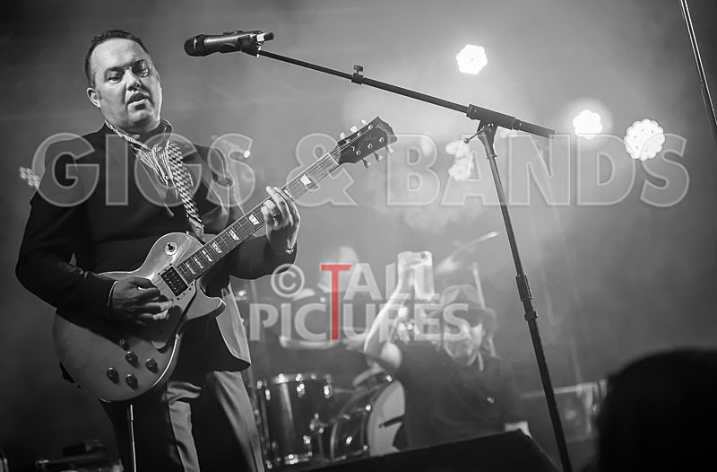 Sons of the Desert-299 - SONS OF THE DESERT