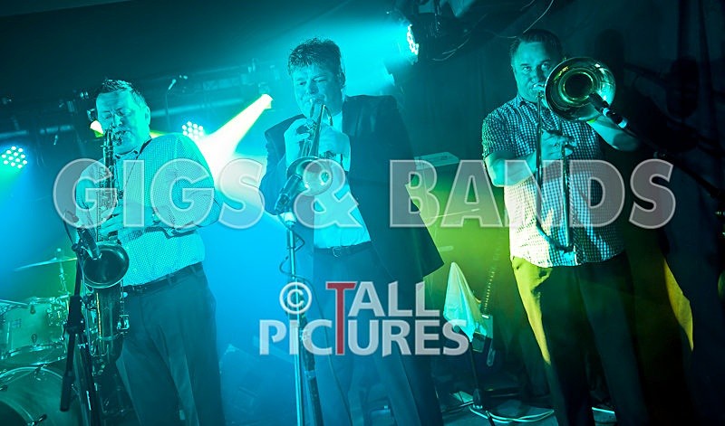 King Rat and the Soul Cats-90 - KING RAT & THE SOUL CATS