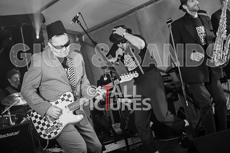 Sons of the Desert_Lib Day_2012-28 - SONS OF THE DESERT