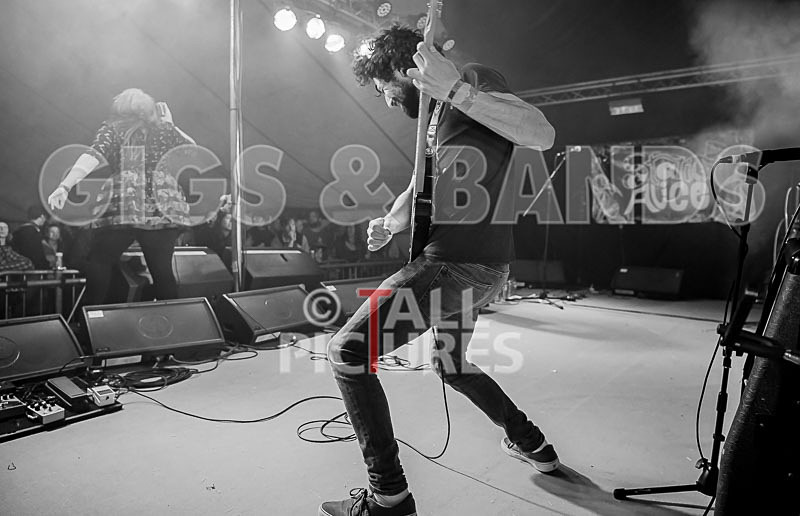 Static Alice-465 - STATIC ALICE