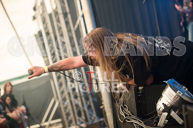 Stone Em All-231 - STONE EM ALL