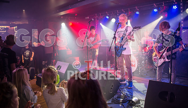 The Lemmings-1 - THE LEMMINGS