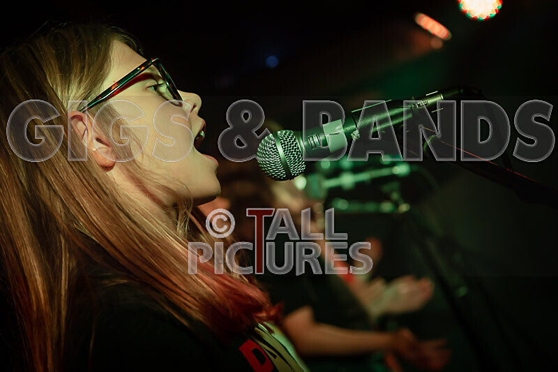 The Diehearts-11 - THE DIEHEARTS