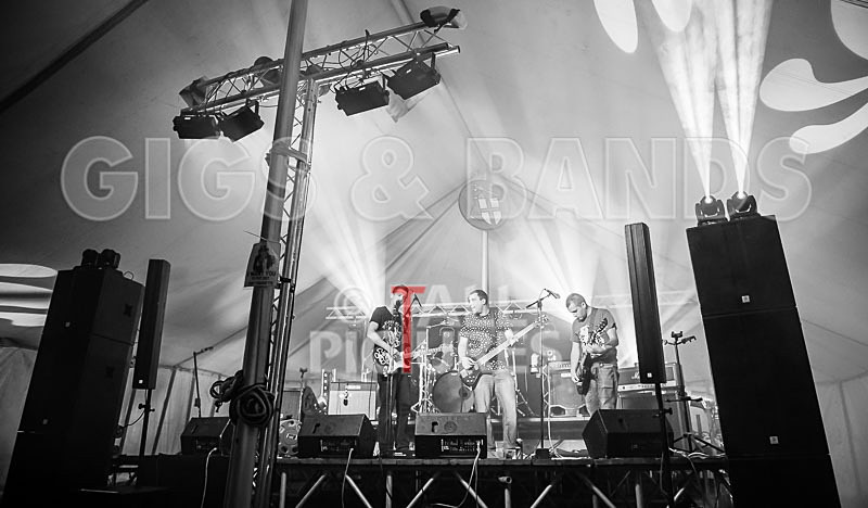 Subversion-66 - SUBVERSION