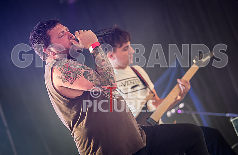 Granite Wolf-23 - GRANITE WOLF