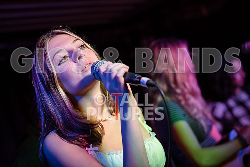 12 Gauge-76 - 12 GAUGE