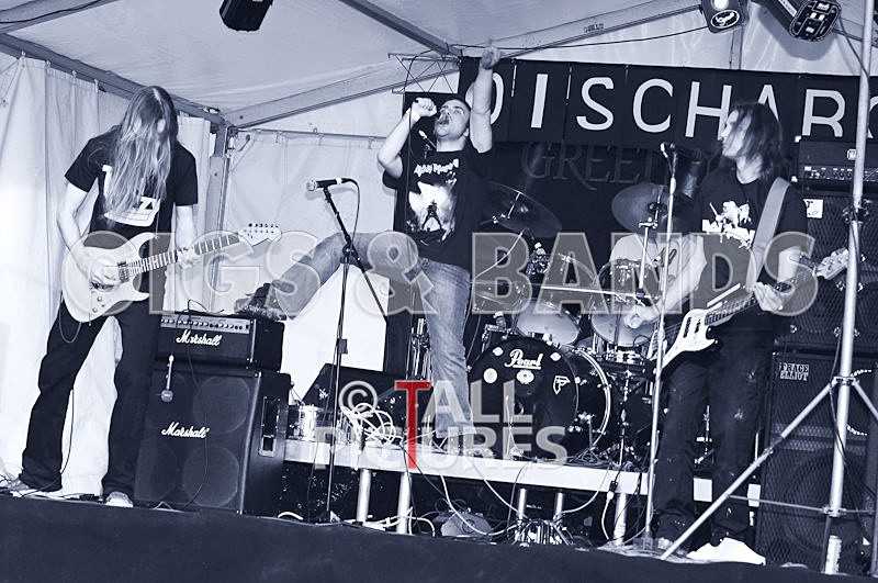 Greenman_Music_8 - GREENMAN CHAOS FESTIVAL 2006 - BANDS