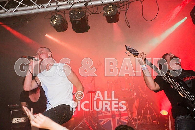 Elmer Henley-101 - VALE EARTH FAIR 2009