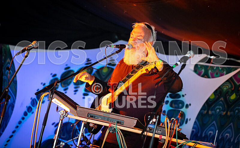 Its Own Animal-11 - ITS OWN ANIMAL