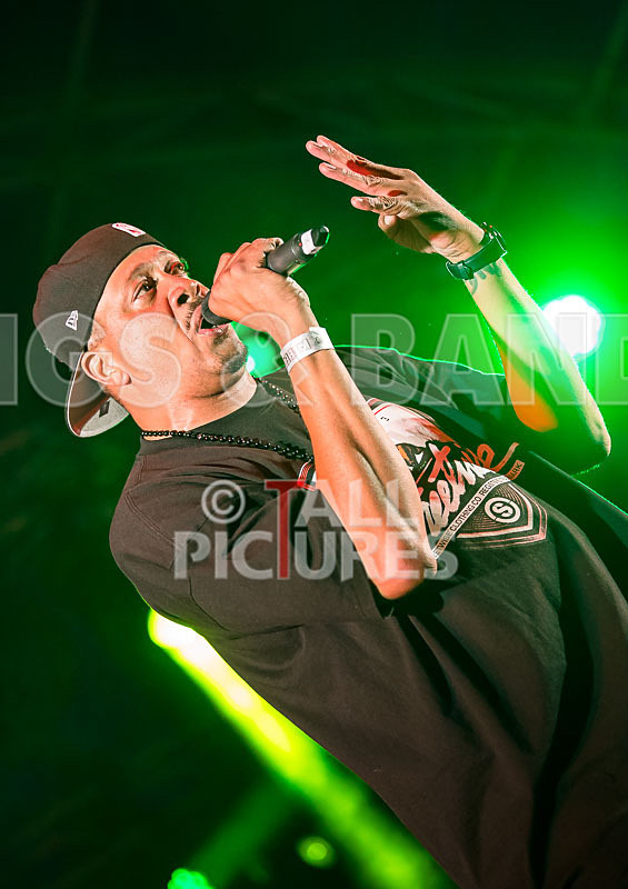 Chali 2na  Krafty Kuts-15 - CHALI 2NA & KRAFTY KUTS