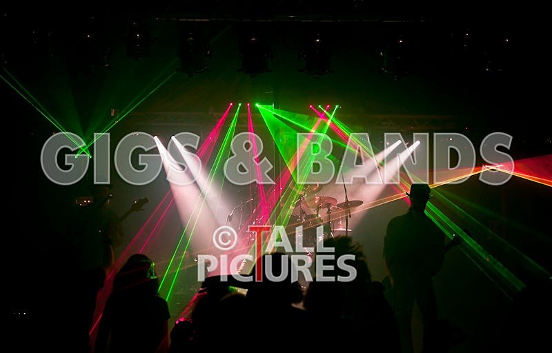 Peppered Ant Legs-55 - PEPPERED ANT LEGS