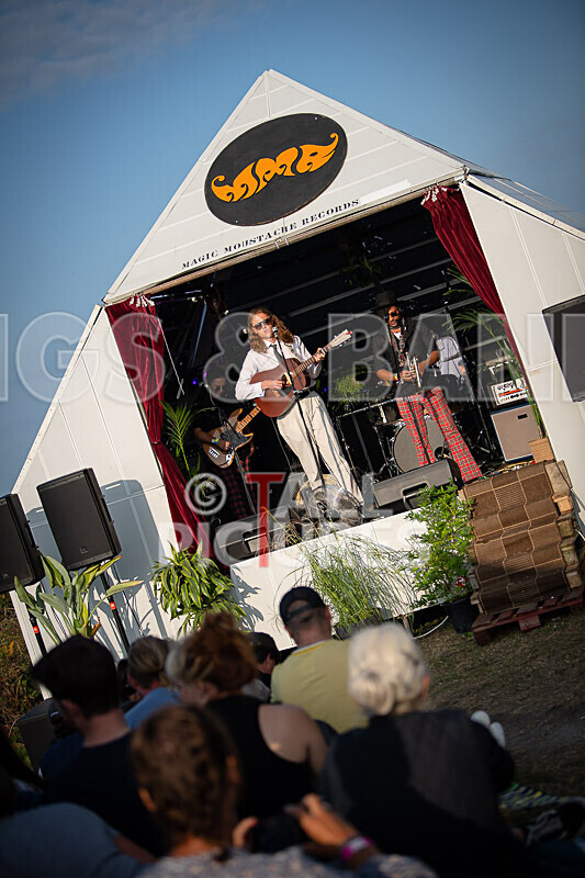 Elliot Albert Orchard-1 - ELLIOT ALBERT ORCHARD