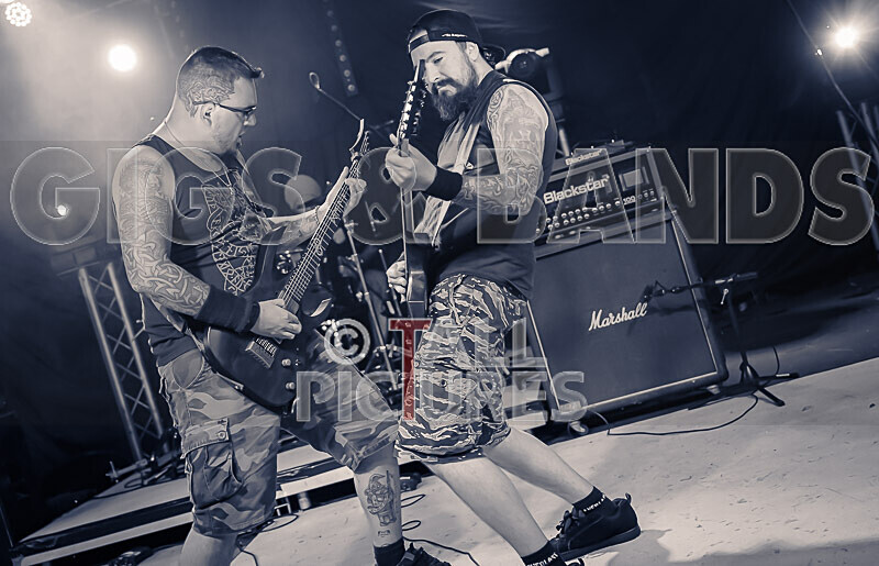 Demise of Sanity-226 - DEMISE OF SANITY