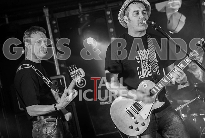 Sons of the Desert-86 - SONS OF THE DESERT