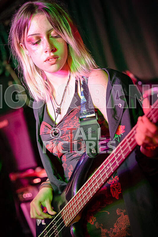 Road Kill Rubber Duckies-10 - ROAD KILL RUBBER DUCKIES