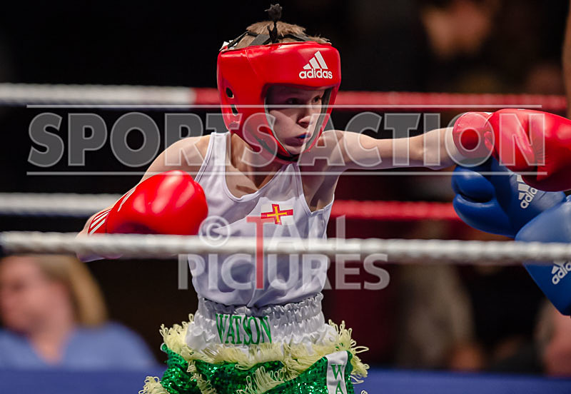 BOUT-2 - Arnie Watson v Noah Merriman-14 - BOUT-2 - Arnie Watson v Noah Merriman