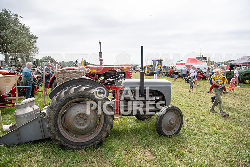 Guernsey Agricultural Show 2021-156 - GUERNSEY AGRICULTURAL SHOW 2021
