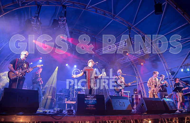 Sons of the Desert-346 - SONS OF THE DESERT