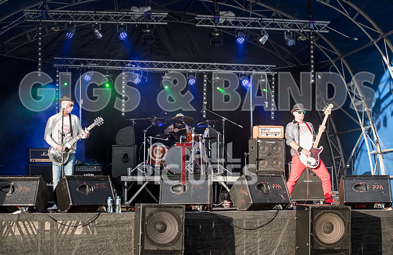 Peppered Ant Legs-252 - PEPPERED ANT LEGS