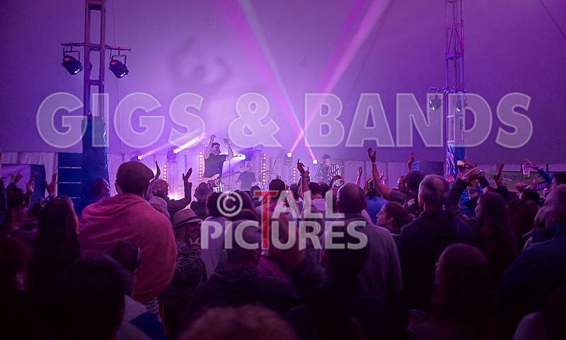 The Smooth Hounds-24 - THE SMOOTH HOUNDS