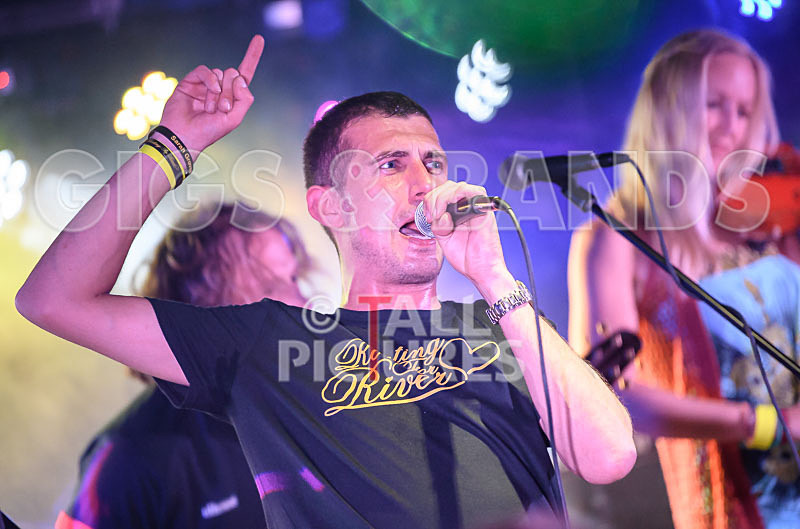 Buffalo Huddleston-505 - BUFFALO HUDDLESTON