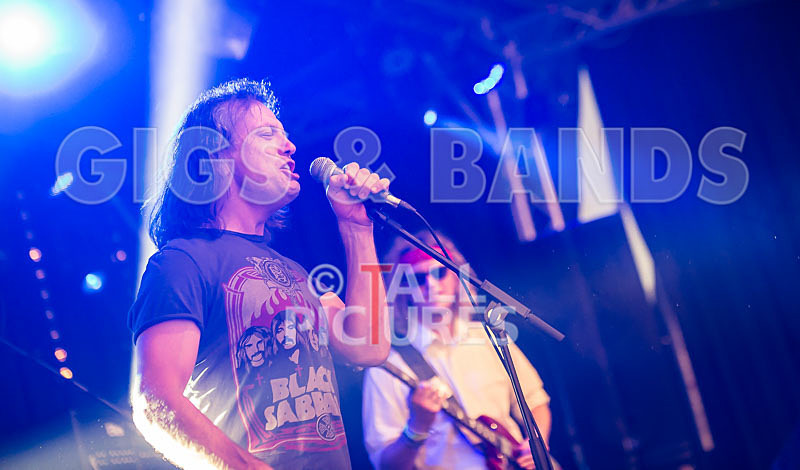 Rat Salad-13 - RAT SALAD