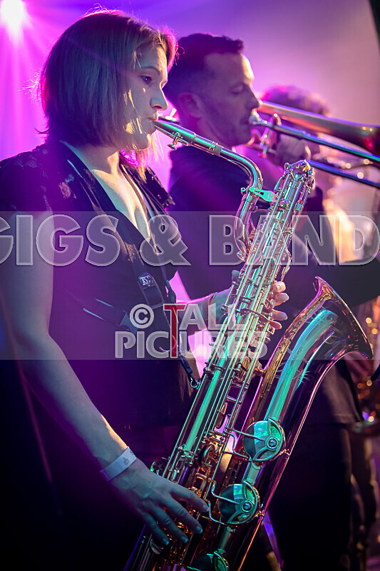 King Rat  the Soul Cats-504 - KING RAT & THE SOUL CATS