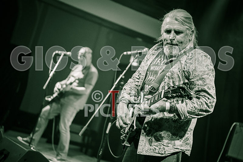 The Sacred Hearts-55 - THE SACRED HEARTS