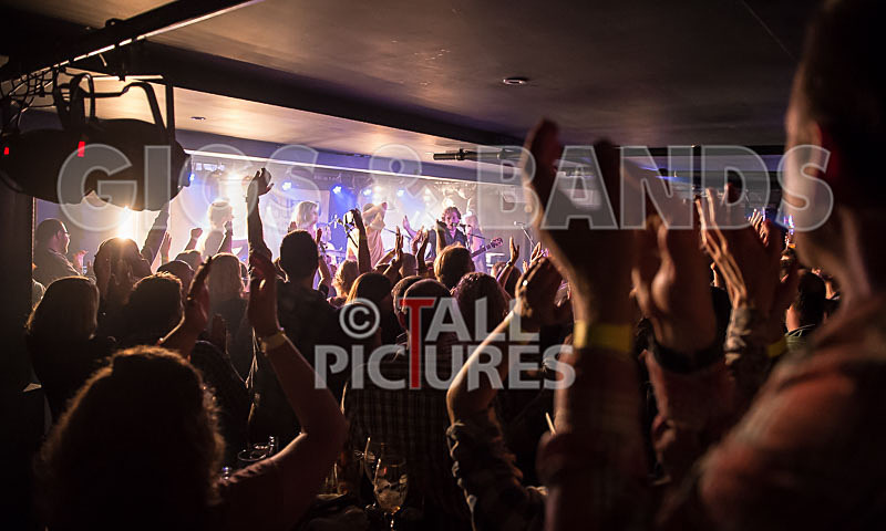 Buffalo Huddleston-121 - BUFFALO HUDDLESTON