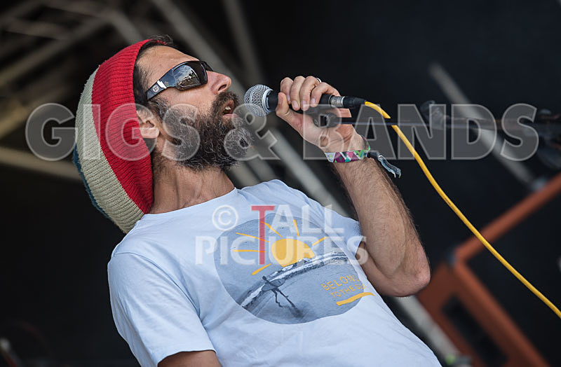 Benny the Moth-103 - BENNY THE MOTH