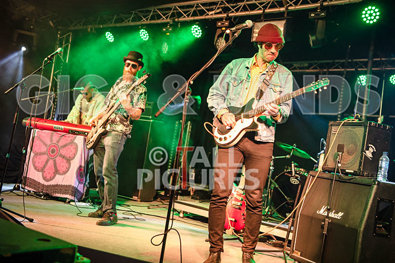 Surfin Birds-52 - SURFIN' BIRDS