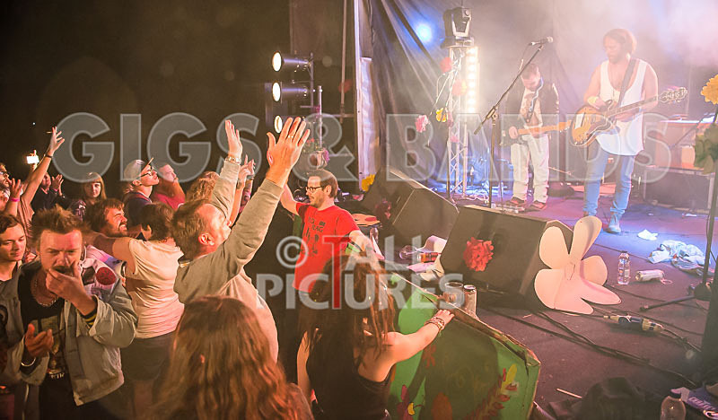 Near Bliss-40 - NEAR BLISS