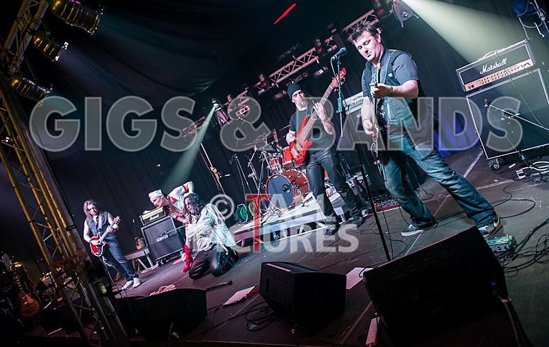 Gallus Cooper-41 - GALLUS COOPER