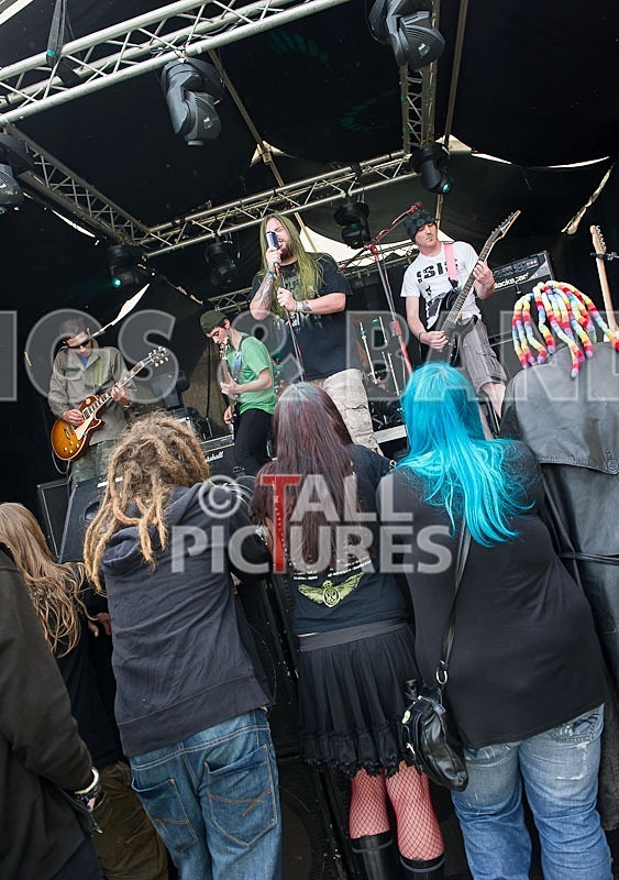 Stone Em All-29 - STONE EM ALL