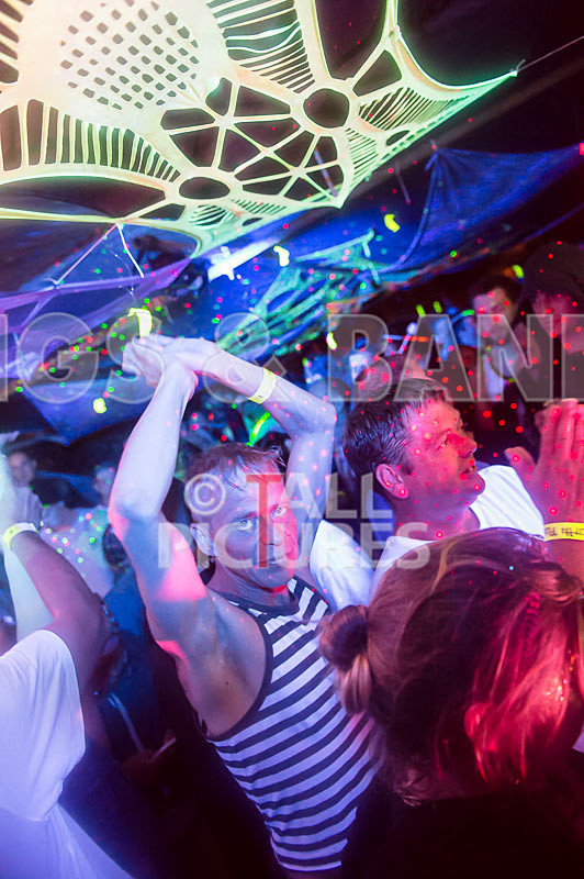 Vale Earth Fair 2015_Atmosphere-81 - VALE EARTH FAIR 2015_THE ATMOSPHERE