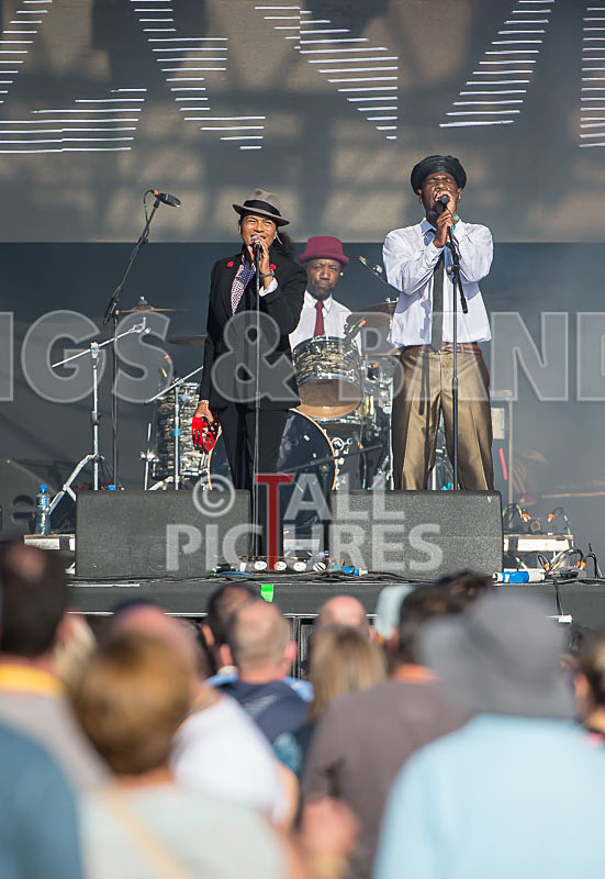 The Selecter-70 - THE SELECTER