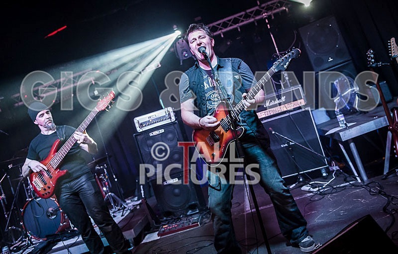 Gallus Cooper-73 - GALLUS COOPER