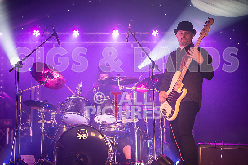 Peppered Ant Legs-181 - PEPPERED ANT LEGS