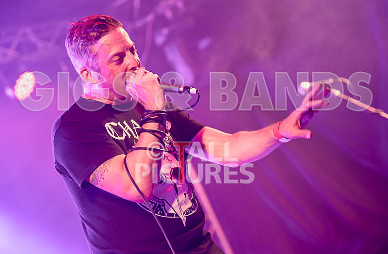 Spunge-141 - [spunge]