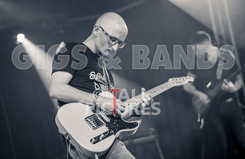 Foxy Stoat Seeks Pig-32 - FOXY STOAT SEEKS PIG